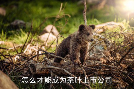 茶葉茶企為什么難上市，怎么才能成為茶葉上市公司