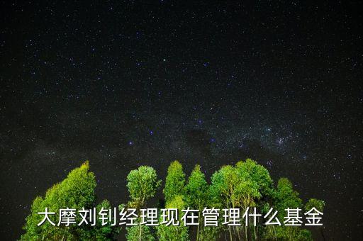 大摩劉釗經(jīng)理現(xiàn)在管理什么基金呢，大摩貨幣是哪個基金公司的產(chǎn)