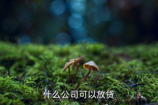現(xiàn)在什么眾籌公司可以放貸款，什么公司可以放貸
