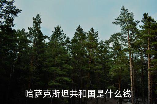 哈薩克斯坦用什么貨幣，哈薩克斯坦的貨幣名稱(chēng)是什么