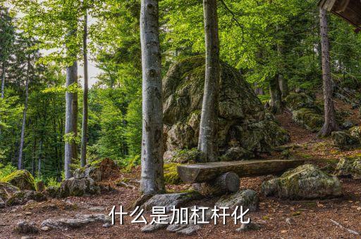 加杠桿化是什么意思，什么是加杠桿化