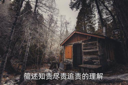 什么是追責(zé)，簡(jiǎn)述知責(zé)盡責(zé)追責(zé)的理解