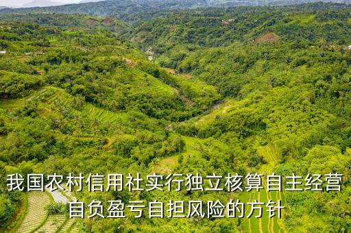 自擔(dān)風(fēng)險(xiǎn)是什么，報(bào)關(guān)報(bào)檢證如果掛靠自擔(dān)風(fēng)險(xiǎn)嗎