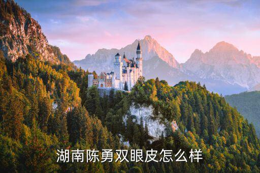 對于湖南省陳勇有什么評價，陳勇和我誰才是湘潭最帥
