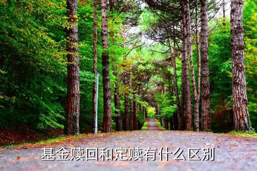 贖回和定贖有什么區(qū)別，基金贖回和定贖有什么區(qū)別