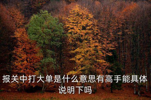 報關中的大單是什么意思，報關單里打大單是指哪些單怎么打