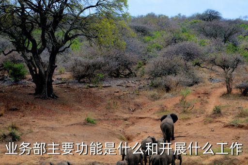 機(jī)構(gòu)業(yè)務(wù)部是做什么，業(yè)務(wù)部是什么意思