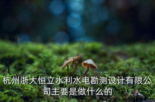 杭州浙大恒立水利水電勘測設(shè)計有限公司主要是做什么的