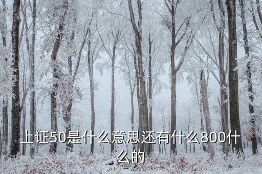 上證50什么意思，上證50是什么意思還有什么800什么的