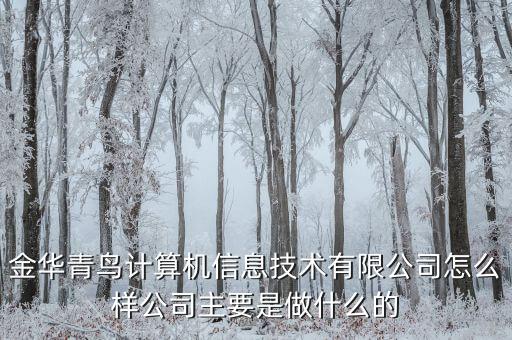 青鳥華光是做什么的，送機(jī)員是做什么的