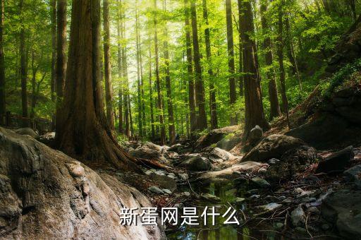 新蛋網(wǎng)快遞是什么啊，新蛋網(wǎng)買東西是借助第三方快遞送貨還是直接送到消費(fèi)者手中