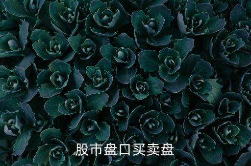 掛單666是什么意思，股票大盤中掛單量說明什么