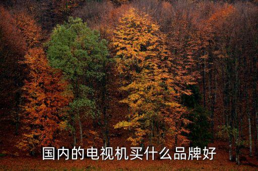 國內(nèi)的電視機買什么品牌好