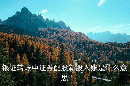 新股入賬是什么意思，銀證轉(zhuǎn)賬中證券配股新股入賬是什么意思