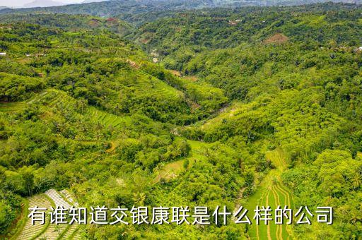 交銀康聯(lián)是什么公司，有誰(shuí)知道交銀康聯(lián)是什么樣的公司