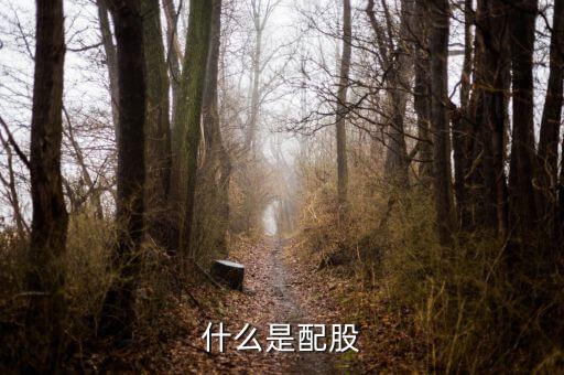上市公司配股是什么，什么是配股