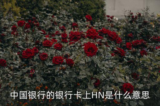 中國銀行n是什么意思，中國銀行的銀行卡上HN是什么意思