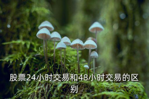 24小時(shí)交易是什么意思，股票24小時(shí)交易和48小時(shí)交易的區(qū)別