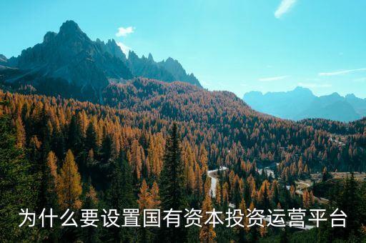 國家為什么要投資辦企業(yè)，為什么要設(shè)置國有資本投資運營平臺