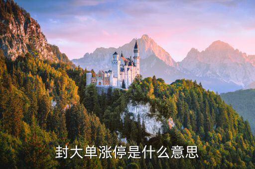 漲停板尾盤封大單什么意思，封大單漲停是什么意思