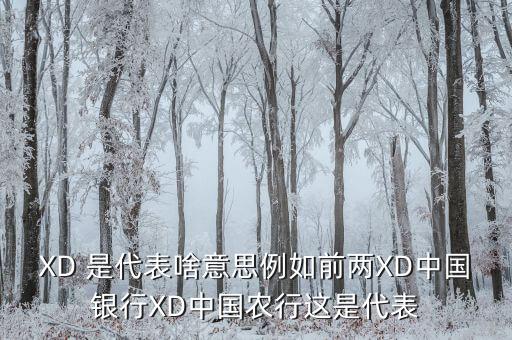 農(nóng)行中證代表什么，XD 是代表啥意思例如前兩XD中國銀行XD中國農(nóng)行這是代表