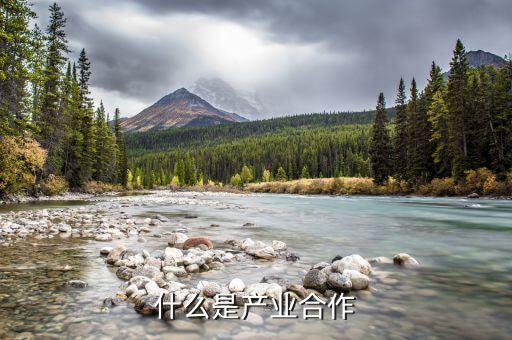什么是產業(yè)合作