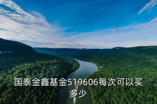 國(guó)泰金鑫基金519606每次可以買(mǎi)多少