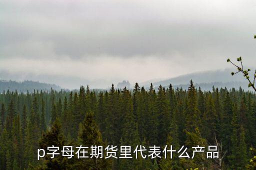 pp是什么期貨，聚丙烯期貨是什么