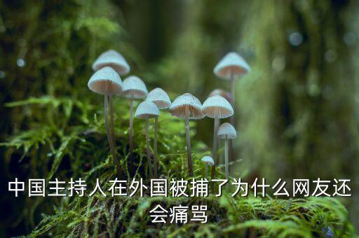 國網(wǎng)魏慶海出什么事了，中國主持人在外國被捕了為什么網(wǎng)友還會痛罵