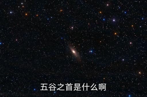 中糧是中國什么之首，中糧集團(tuán)