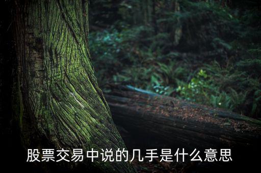 股票幾手是什么意思，股票的幾手是什么意思