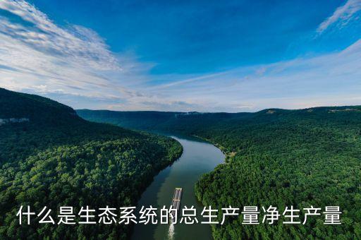 什么是凈產(chǎn)量，凈產(chǎn)量和毛產(chǎn)量是什么