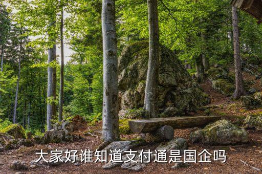 中國支付通是什么公司，大家好誰知道支付通是國企嗎