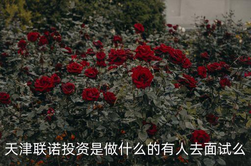 天河聯(lián)盟投資是什么，廣州理財公司是真的