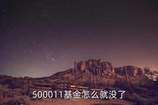 國(guó)泰金鑫什么時(shí)候開(kāi)放，國(guó)泰金鑫基金519606每次可以買(mǎi)多少