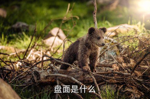 什么是盤面壓榨利潤，什么叫物理壓榨