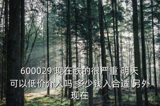 粵傳媒今天什么跌這么厲害，600029 現(xiàn)在跌的很嚴重 明天可以低價介入嗎 多少錢入合適 另外現(xiàn)在