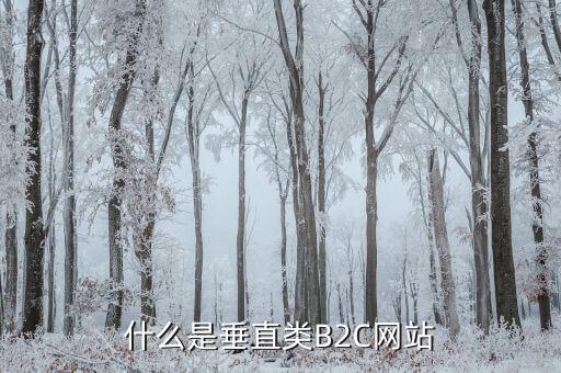 什么是垂直類B2C網站