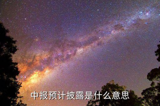 預先披露是什么意思，中報預計披露是什么意思