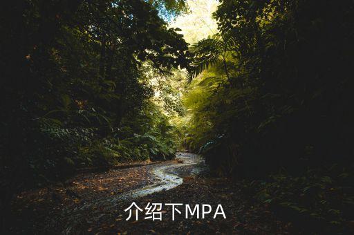 mpa投資是什么公司，mpa是什么單位