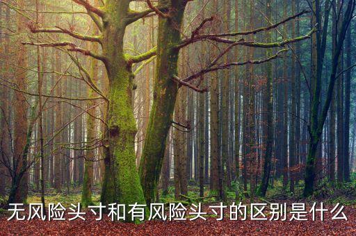 市場風險頭寸是什么，什么是可抵消市場風險頭寸