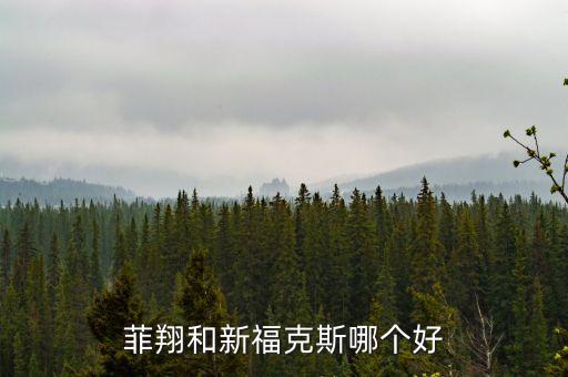 菲翔和新?？怂鼓膫€好