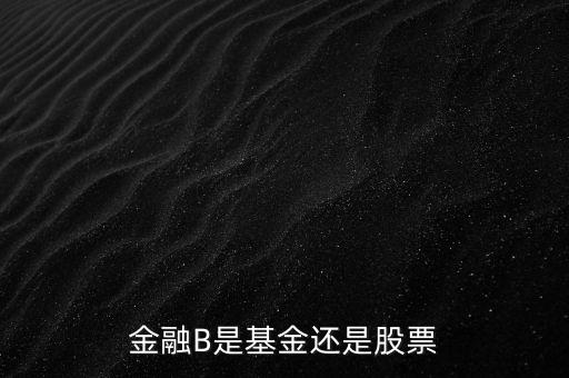 銀行b端是什么股票，金融B是基金還是股票