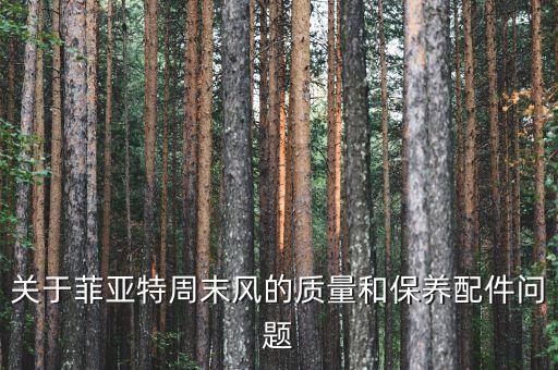 菲亞特為什么退出中國，關(guān)于菲亞特周末風的質(zhì)量和保養(yǎng)配件問題