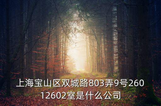 上海柏智方德是什么公司，上海寶山區(qū)雙城路803弄9號26012602室是什么公司