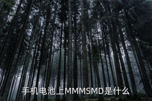 什么是電力儲能，手機電池上MMMSMD是什么