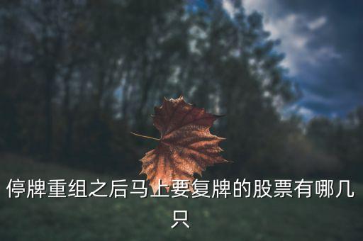 002306什么時(shí)候復(fù)牌，停牌重組之后馬上要復(fù)牌的股票有哪幾只