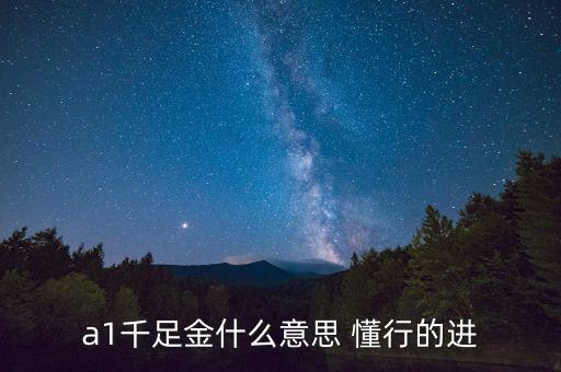 武夷A1配什么意思，a1千足金什么意思 懂行的進(jìn)