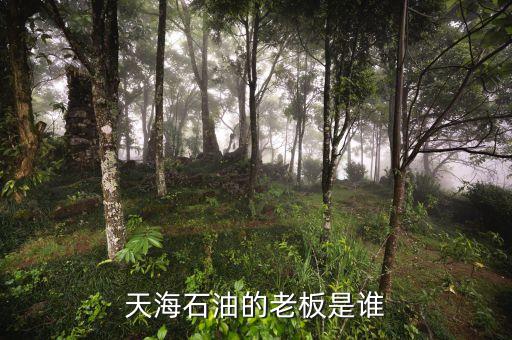 天海收購(gòu)英邁什么時(shí)間，信用卡能不能申請(qǐng)延遲2天?？?/></a></span><span id=