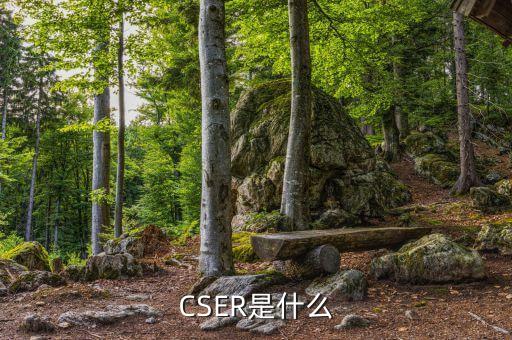 什么是ccer，CSER是什么